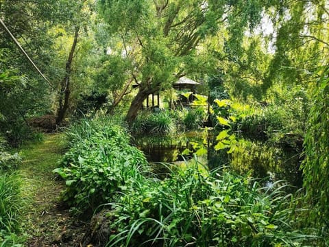 The Snuggery Apartment in City of Canterbury