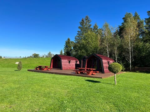 Saare Paadiküla Campground/ 
RV Resort in Harju County, Estonia