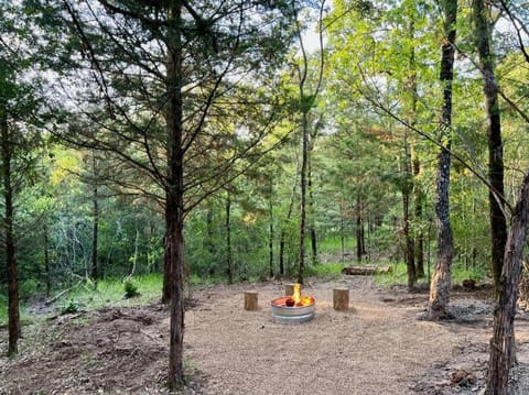 HiddenAcres Cabin - woodsy private couples retreat Villa in Cedar Creek Reservoir