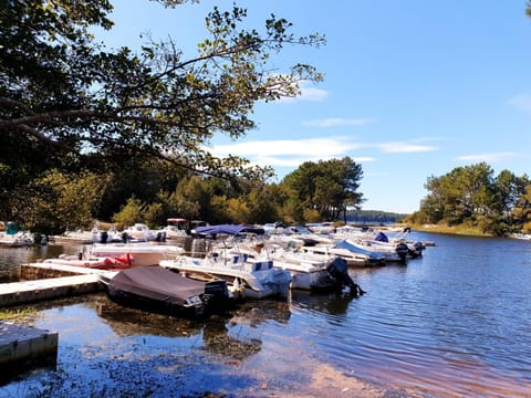 Natural landscape, Activities, Fishing, Lake view