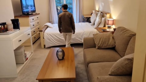 Bed, TV and multimedia, Kitchen or kitchenette, Living room, Photo of the whole room, Seating area, Bedroom