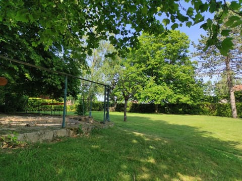 Garden, Garden, Garden view