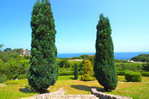 Nearby landmark, Spring, Natural landscape, Garden, Garden view, Sea view