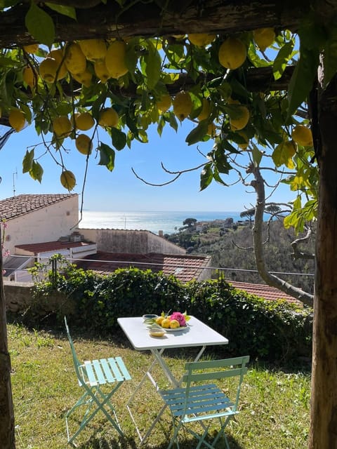 Natural landscape, Garden, Dining area, Garden view, Sea view