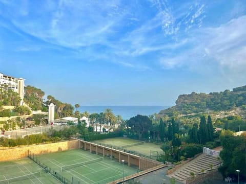 Bird's eye view, Tennis court, Garden view