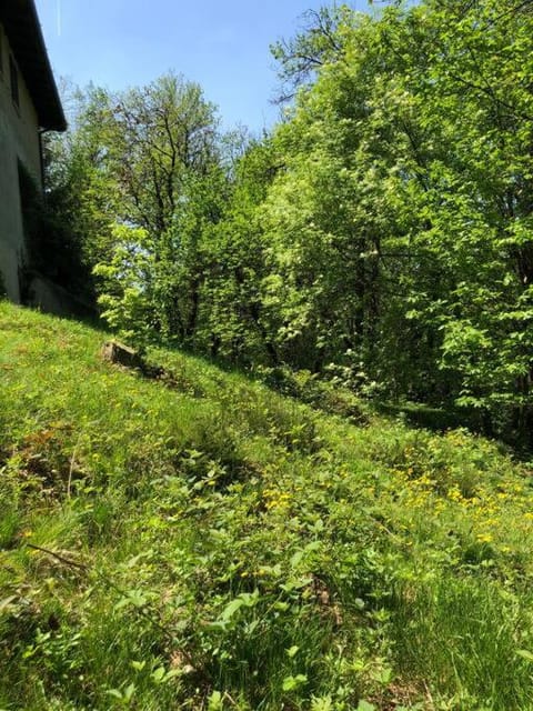 Natural landscape, Garden