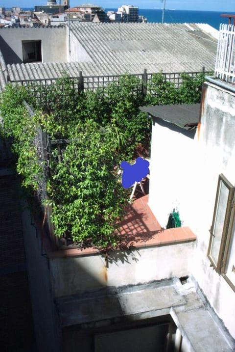 Garden, Inner courtyard view