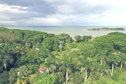 Casa Blanca Beachfront Paradise Garden Villa in Cobano