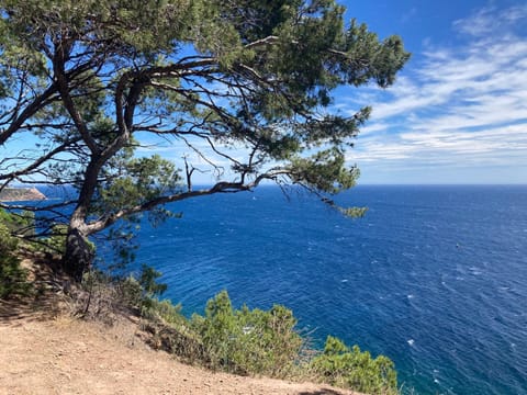 200 m de la plage jardin calme Apartment in La Seyne-sur-Mer