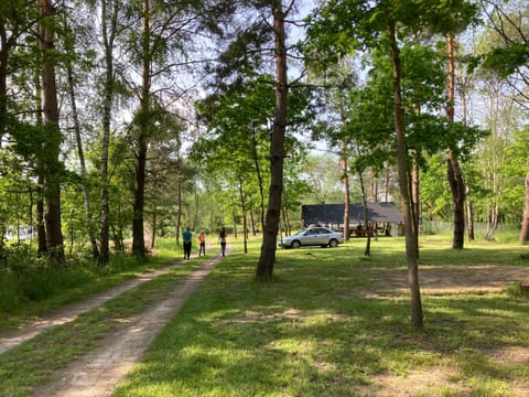 Leśne zacisze-pole namiotowe Campingplatz /
Wohnmobil-Resort in Lviv Oblast