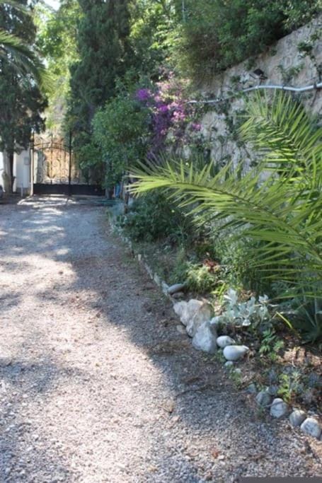 FRONT BEACH PENTHOUSE Apartment in Eze