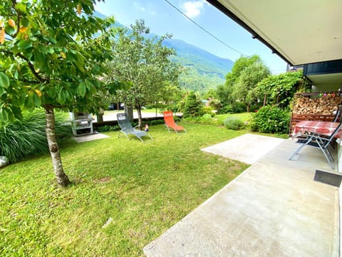 Patio, Day, Garden, Garden view, sunbed