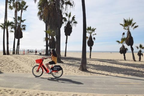 Natural landscape, Beach, Cycling, Sea view