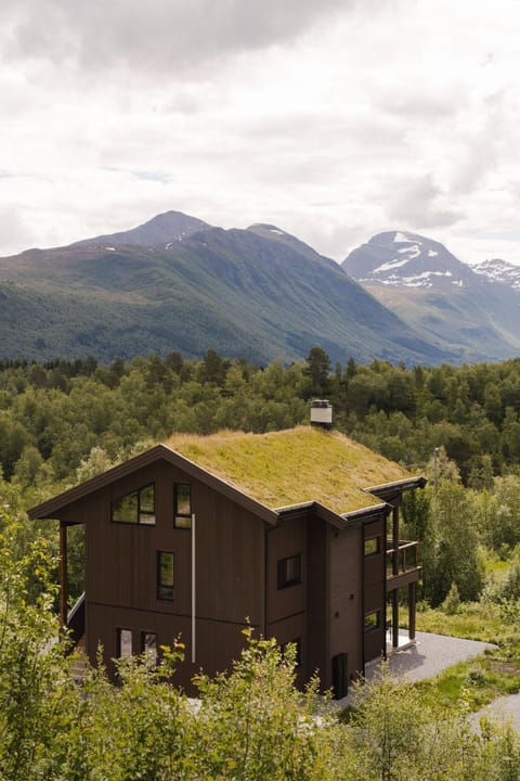 Property building, Day, Natural landscape