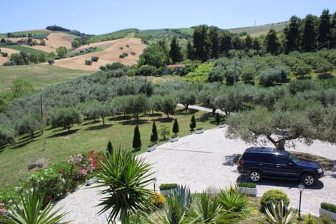 Garden view, Mountain view