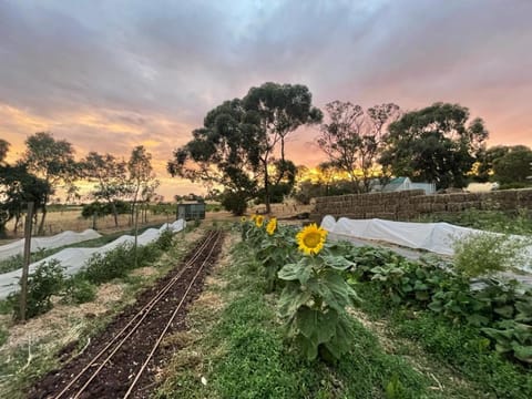 Garden, Garden view