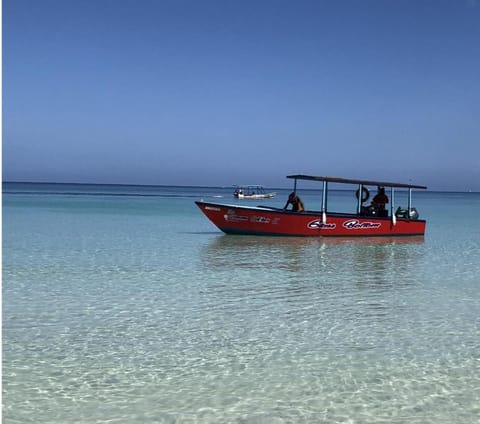 Seacret Studios - Cozy Jamaican Retreat apts Apartment in Negril