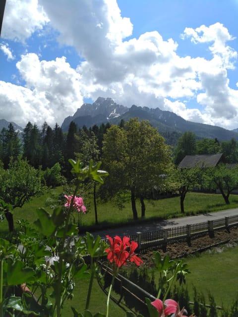 Apartments Mertelj Apartment in Friuli-Venezia Giulia