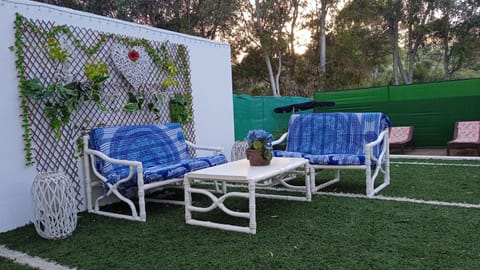 Spring, Day, Garden, Swimming pool, sunbed