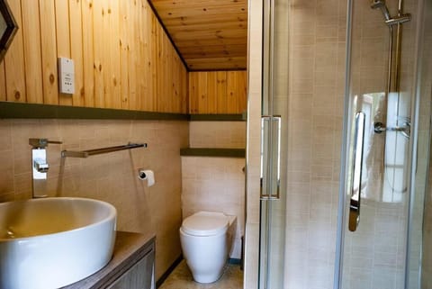 Wooden tiny house Glamping cabin with hot tub 1 Chalet in Bassetlaw District