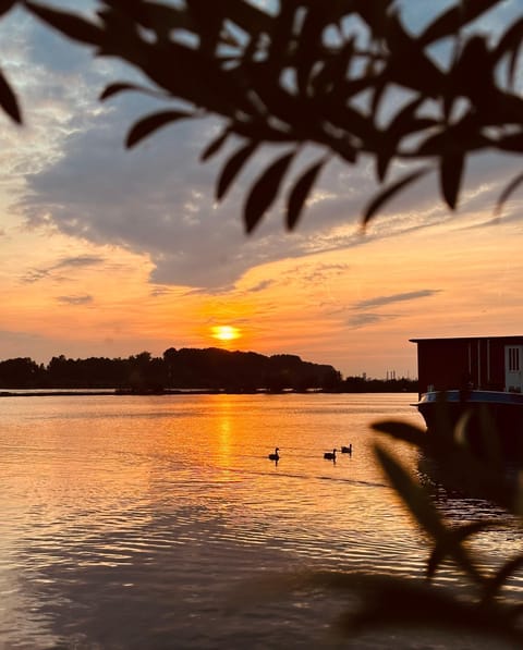 Natural landscape, River view, Sunset