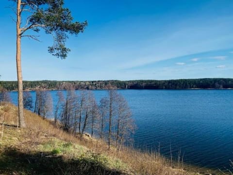 Kaszubska Lawenda Żuromino, Domek nr 1 House in Pomeranian Voivodeship