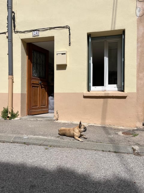 Property building, Pets, Street view