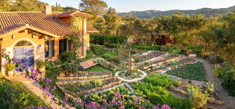 Garden, Garden view