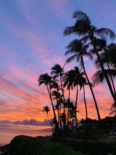 Elegant Studio w/ AC ~ Tropical Westside Napili Condo in Kapalua