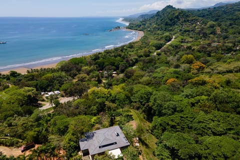 Luxe 4 Bdrm Villa with Epic OceanView & Infinity Pool Villa in Bahía Ballena