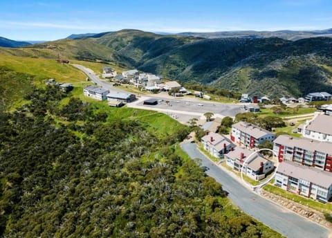 Lawlers 8 Beautiful Spacious Ski Chalet Condo in Hotham Heights