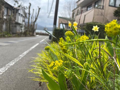 Day, Neighbourhood, Natural landscape, Street view