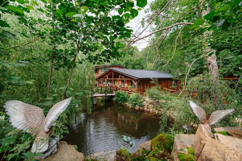 Garden, Lake view