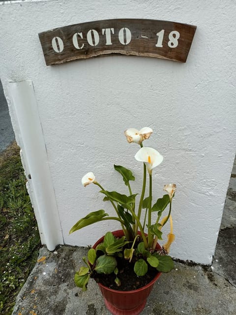 Casa Pancha House in Asturias