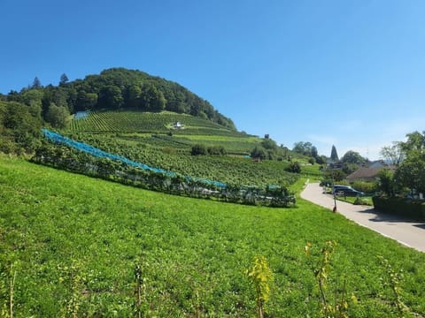 Schöne Einliegerwohnung 200m vom Wasser entfernt Apartment in Schaffhausen, Switzerland