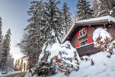 Property building, Natural landscape, Winter