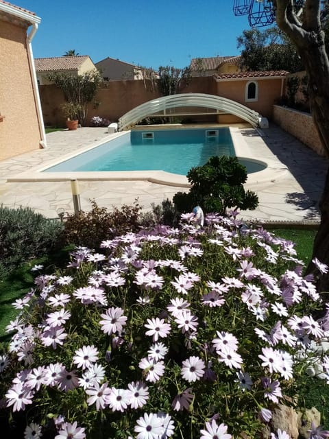 Garden view, Pool view, Swimming pool, sunbed