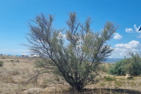 Appartement idéal pour découvrir le Sud d'Italie Apartment in Basilicata