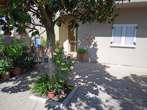 Property building, Garden, Garden view