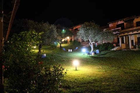 Night, Garden