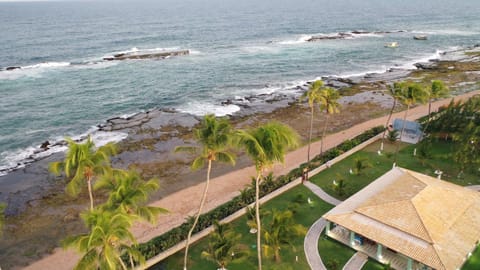 Day, Bird's eye view, Beach