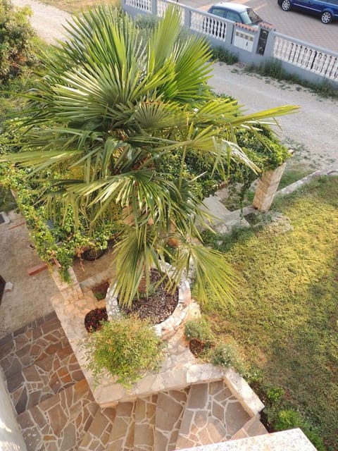 Bird's eye view, Garden, Balcony/Terrace