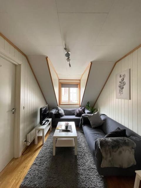 City Center Stylish Loft Apartment in Trondheim