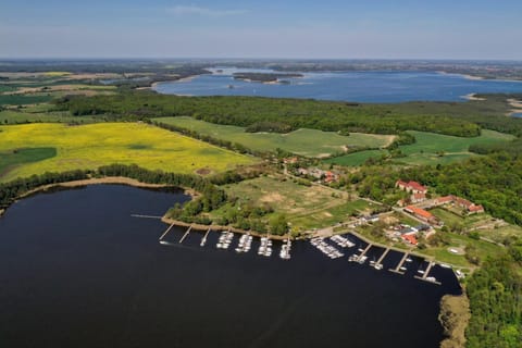 Spring, Bird's eye view, Lake view