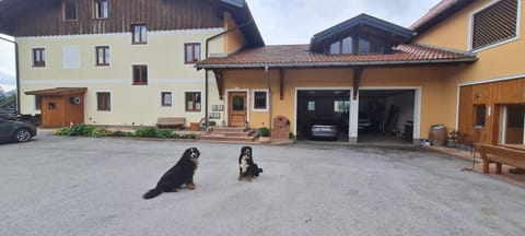 Bauernhof-Loft Edtgut Condo in Salzburg