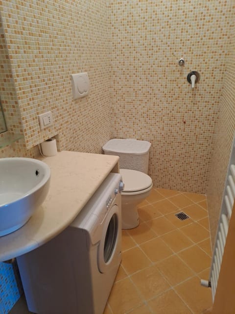 Toilet, Bathroom, washing machine