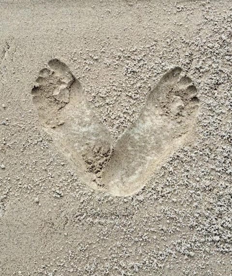 Pond Beach 2ppl-private Hot tub House in County Kilkenny