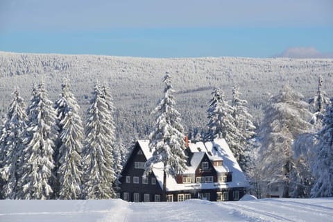 Property building, Winter, Skiing, Skiing, Mountain view