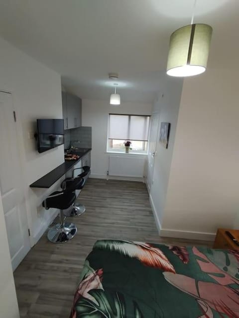 Stylish studio flat with Parking Condo in Enfield