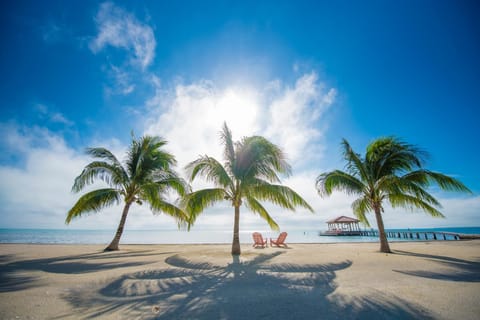 Beach, Sea view